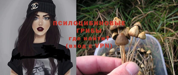 хмурый Арсеньев