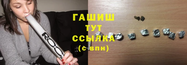 хмурый Арсеньев