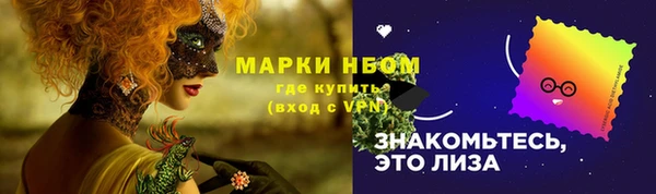 крисы Армянск