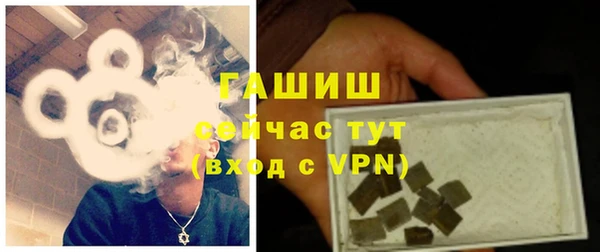 хмурый Арсеньев
