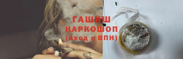 хмурый Арсеньев