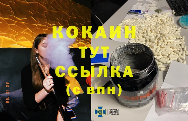 крисы Армянск