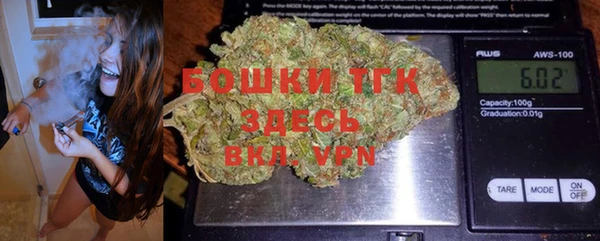 хмурый Арсеньев