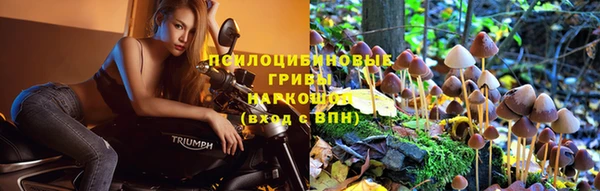 крисы Армянск