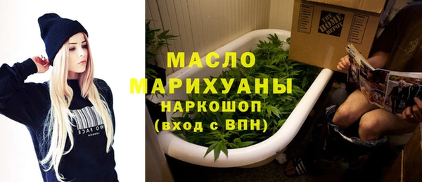 хмурый Арсеньев